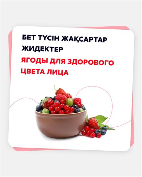 Chocofood.kz - Home