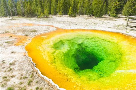 Morning Glory Pool In Yellowstone National Park Stock Image Image Of Geyser Deep 178432205