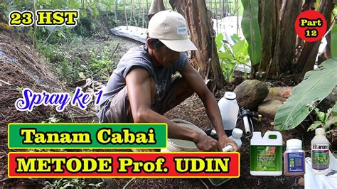 23 HST TANAM CABAI SPRAY PERTAMA Metode Mas Udin Part 12 YouTube