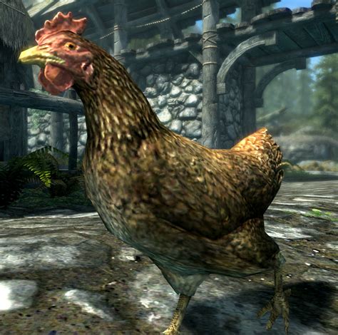 Skyrim Chicken The Unofficial Elder Scrolls Pages Uesp