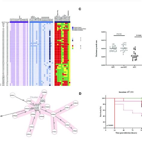 A Genetic Relatedness Antibiotic Resistance Genes Virulence Download Scientific Diagram