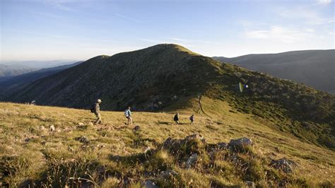 Alpine National Park in Bright & Surrounds, Victoria