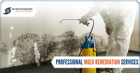 Mold Removal Gainesville Fl Mold Removal Services