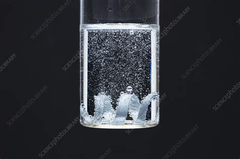 Zinc Reacts With Hydrochloric Acid Stock Image C052 7641 Science Photo Library