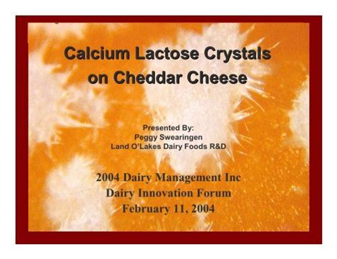 Calcium Lactose Crystals On Cheddar Cheese