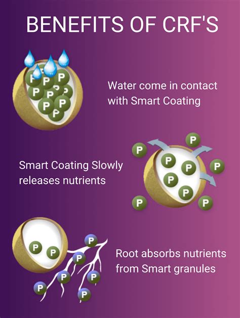 Advanced Agriculture Controlled Release Fertilizers By SV Agro Overseas