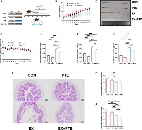 Frontiers Pterostilbene Attenuates Intestinal Epithelial Barrier Loss