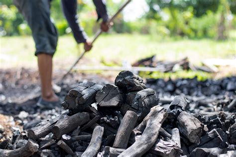 Protecting Forests With Low Cost Alternatives To Wood Charcoal And