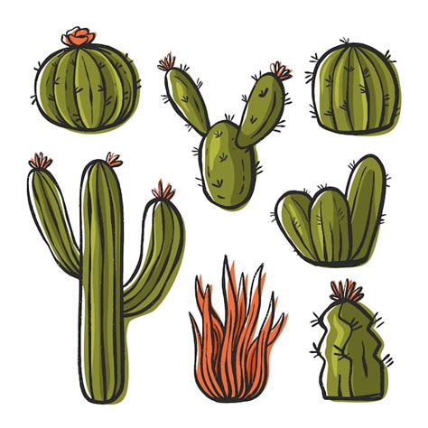 Conjunto De Ilustraci N De Cactus Vector Premium