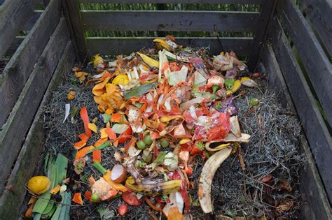 Qué es el Compost y cómo funciona el Compostaje