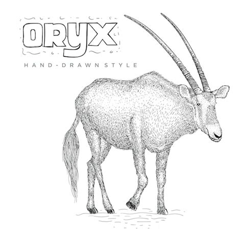 Premium Vector Oryx Vhand Drawn Animal Illustration