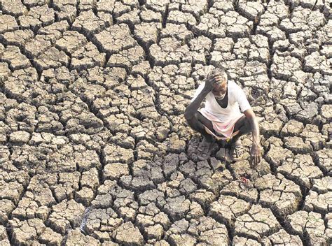 Marathwada Records More Farmer Suicides Than Even Vidarbha Mumbai News Hindustan Times