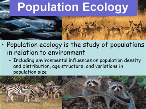 Ecology Definition - JavaTpoint