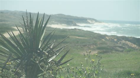 Litoral Alentejano Surf E Pesca Litoral Alentejano