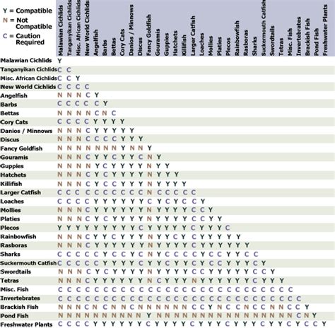 Tropical Fish Compatibility Chart