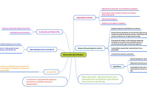 Desarrollo Del Individuo Mindmap