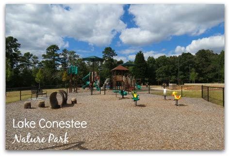 6 Best Park Playgrounds in Greenville