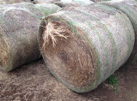 Grass / Pasture Hay Round Bales For Sale | Hay & Fodder