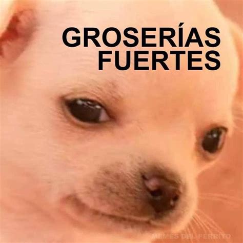 Pin De Evelyn En Memes Im Genes Divertidas Im Genes Graciosas Memes