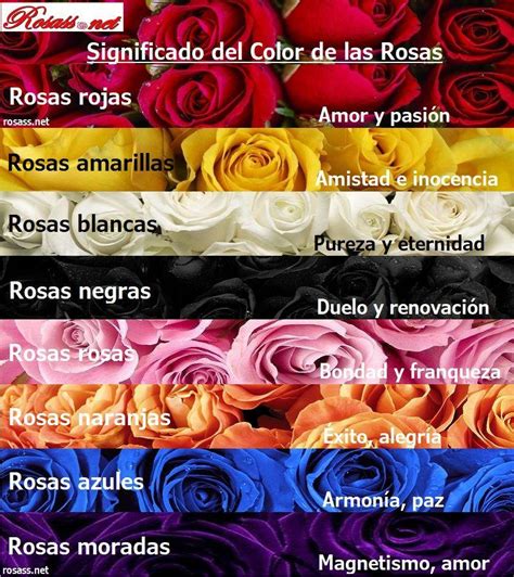 SIGNIFICADO DEL COLOR DE LAS ROSAS Todos