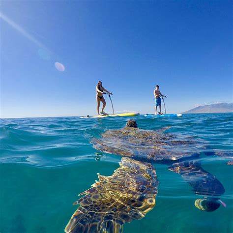 Walk On Water Maui Kihei Alles Wat U Moet Weten Voordat Je Gaat