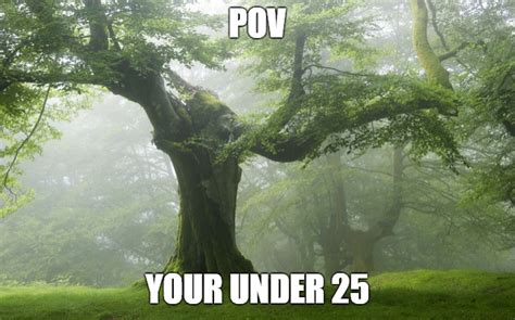 Sorry Retards I Cant Show You R Okbuddyretard Wise Mystical Tree