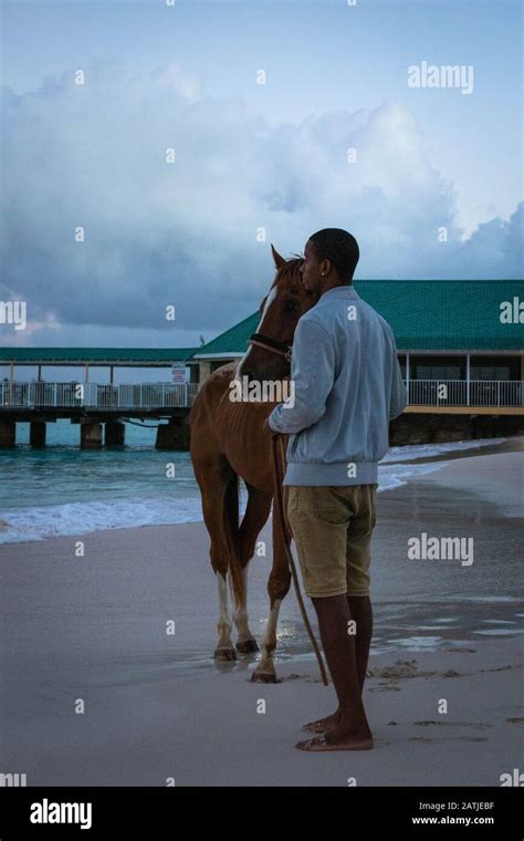 Pebbles Beach, Barbados Stock Photo - Alamy