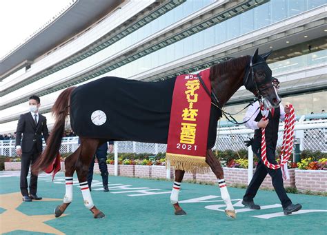 デイリー杯2歳s覇者・セリフォス C・デムーロで朝日杯fsへ 競馬ニュース