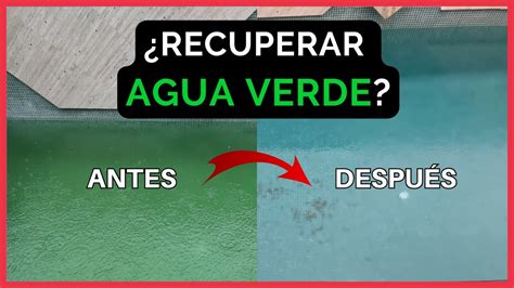 Como Recuperar El Agua Verde En Piscinas Youtube