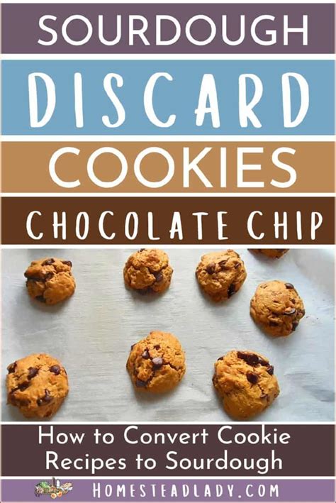 Sourdough Discard Cookies Easy Chocolate Chip • Homestead Lady