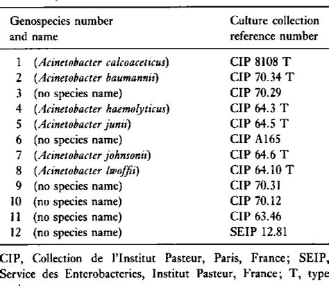 Table From Phenotypic Identification Of Nonclinical Isolates Of