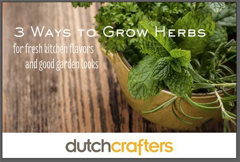 3 Ways To Grow Herbs Timber To Table