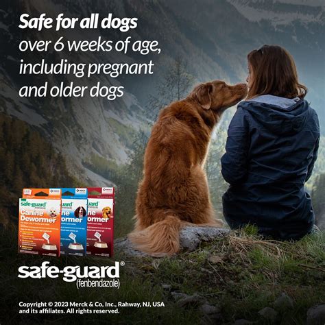 Safe Guard Dewormer For Hookworms Roundworms Tapeworms And Whipworms