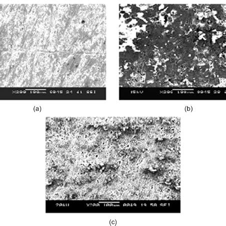 The Scanning Electron Micrographs Of 6061 Al Alloy 15 V SiC P