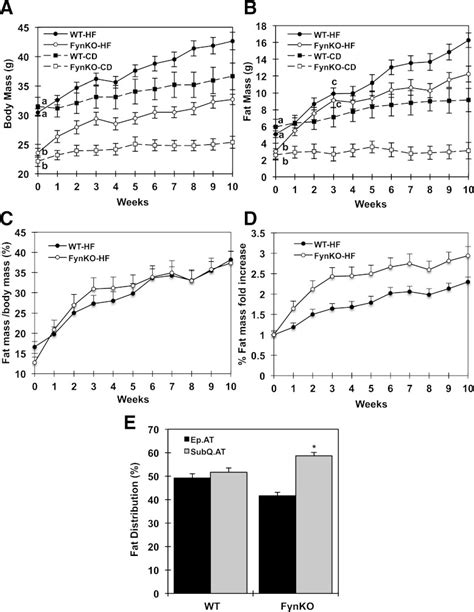 Hfd Fed Fynko Mice Display An Increase In Body Weight And Fat Mass