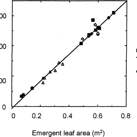 Emergent Leaf Area And Total Plant Biomass In B Medianus Grown For 81