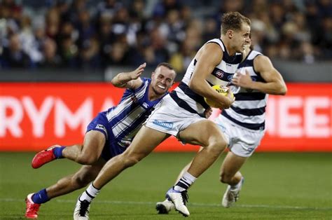 North Melbourne Vs Geelong Cats Tips Preview And Odds