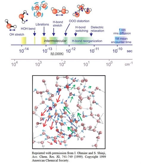 3.2: Water Dynamics - Chemistry LibreTexts