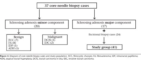 Figure 4 From Sclerosing Adenosis Of The Breast Radiologic Appearance