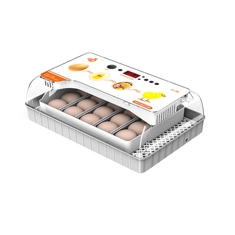 China Incubator HHD New 20 Automatic Egg Hatcher Supported Auto Water