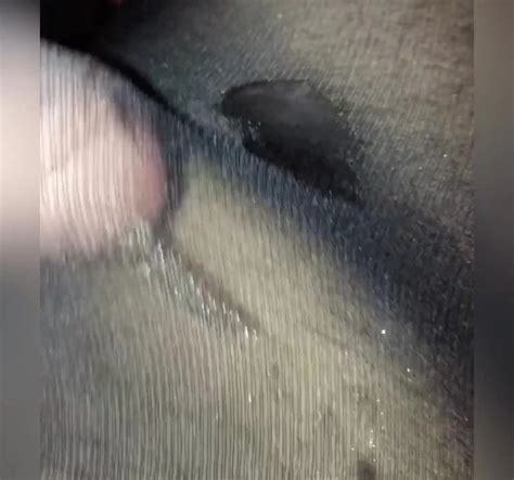 Video Porno Seduzione Gay Gratis Xhamster