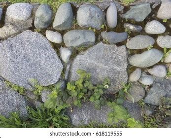 1,116 Mossy Cobblestone Images, Stock Photos & Vectors | Shutterstock