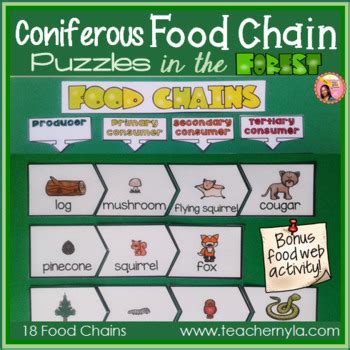 Coniferous Forest Food Chain Puzzles By Nyla S Crafty Teaching Tpt