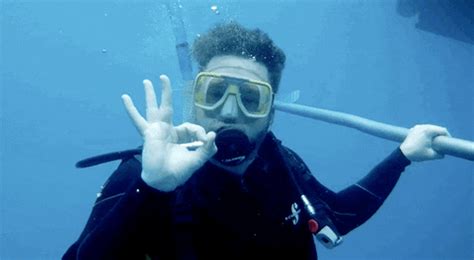 Scuba Diving Gifs Find Share On Giphy