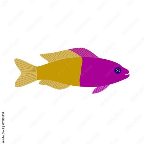 Purple And Yellow Fish