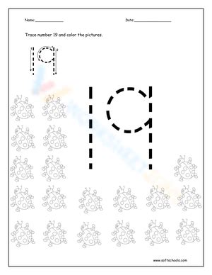 Free Printable Number 19 Worksheets for Students