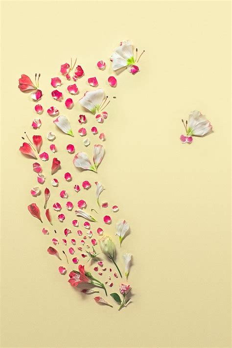 Small Delicate Petals Arranged Into Beautiful Floral Paintings | Flower petal art, Pressed ...