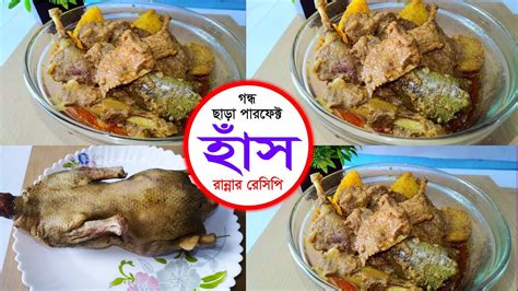 গন্ধ ছাড়া হাঁসের মাংস রান্না করার গোপন রেসিপি পারফেক্ট হাঁস রান্না