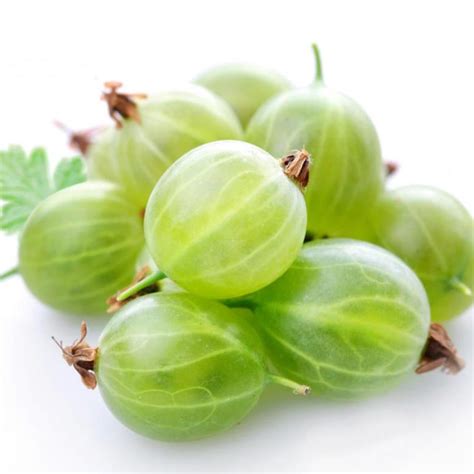 Grosella Frutiban Mayorista De Frutas
