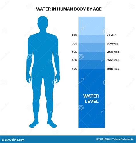 Water Body Balance Stock Vector Illustration Of Flat 237292208